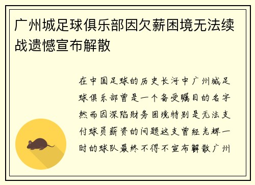 广州城足球俱乐部因欠薪困境无法续战遗憾宣布解散 广州城足球俱乐部因欠薪困境无法续战遗憾宣布解散